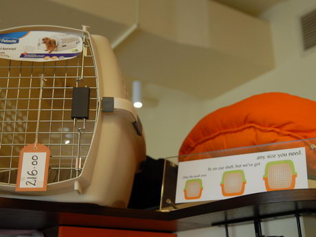 Dkc Pet Food Medication Accessories Dubai Uae